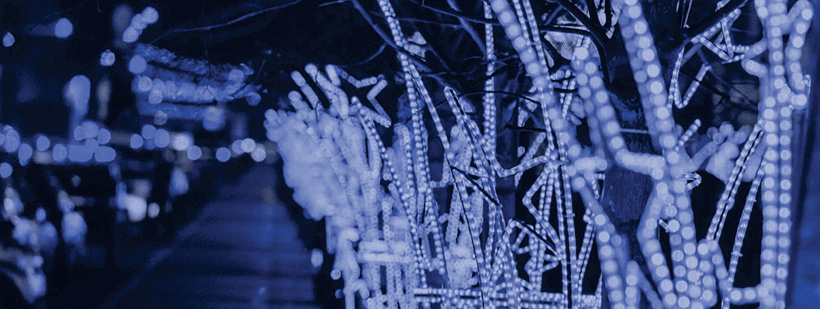 Magie și sclipiri de sărbătoare:  WINTER DELIGHTS: un spectacol încântător, în așteptarea Crăciunului